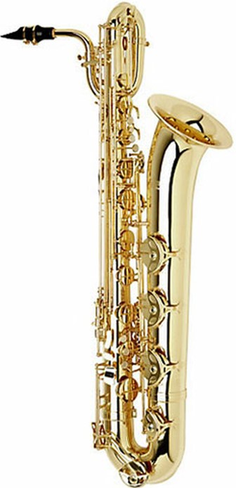 good saxophone on rent vadodara