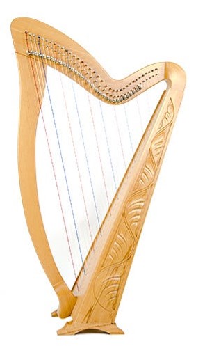 best harp on rent vadodara