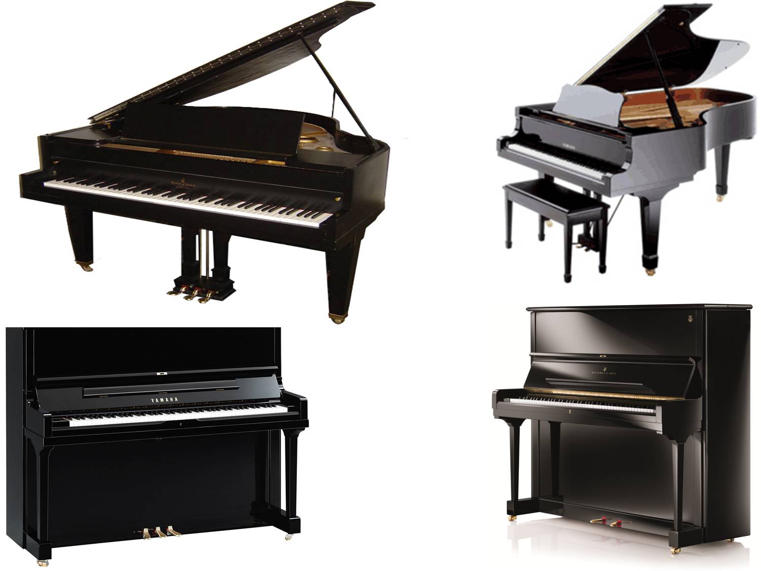 Grand Piano on rent in Vadodara